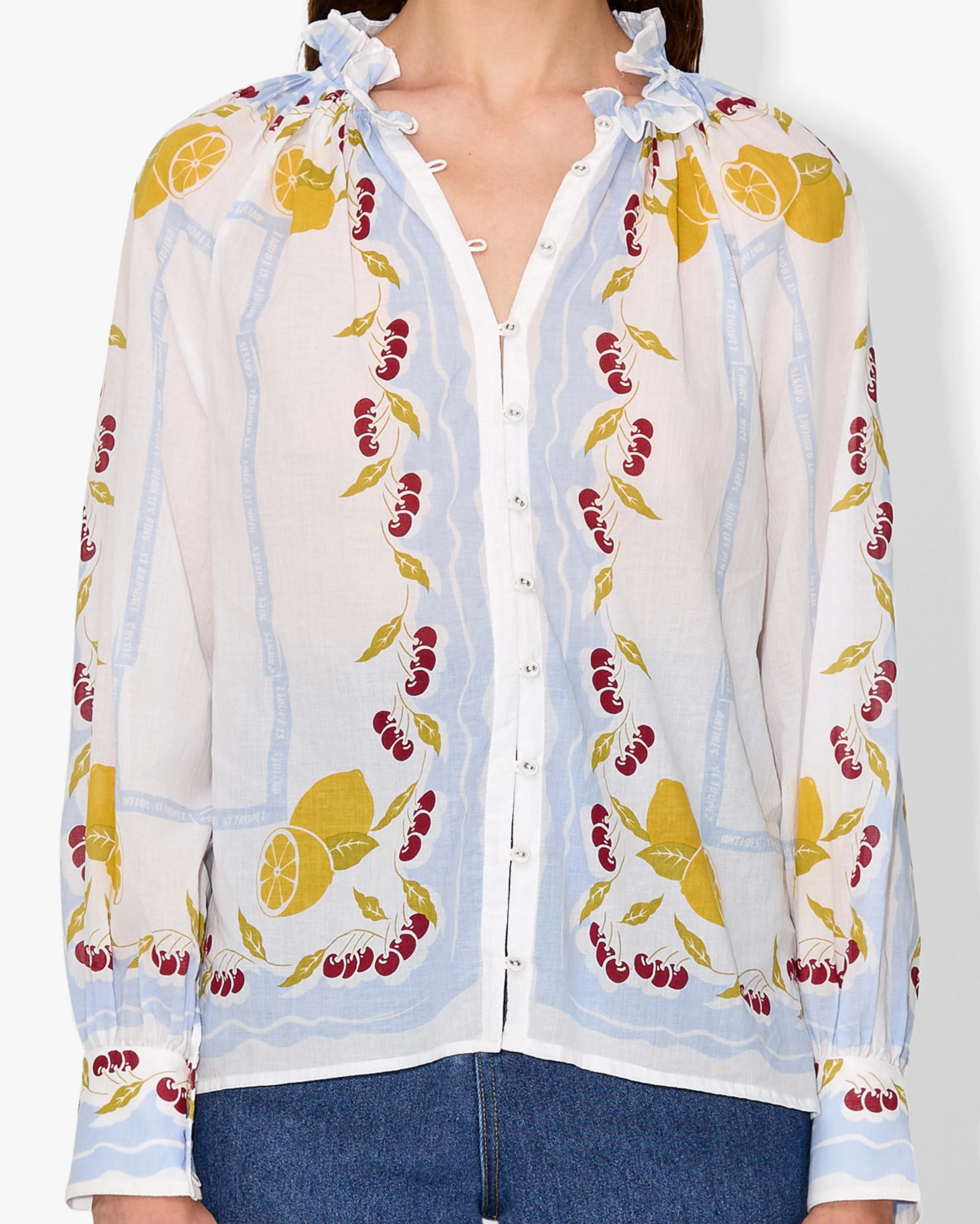 Elegant Sheer Embroidered Blouse